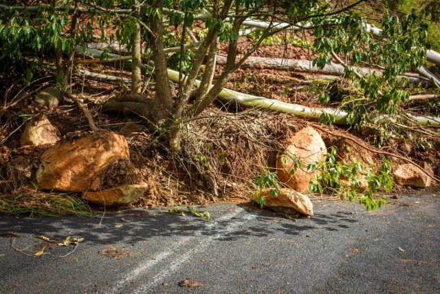 Koonorigan-Road-Land-Slip-Photo-Tree-Faerie-9W6A9119