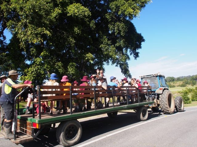 Children from the Pocket Public School enjoy a ride behind a tractor. (supplied)