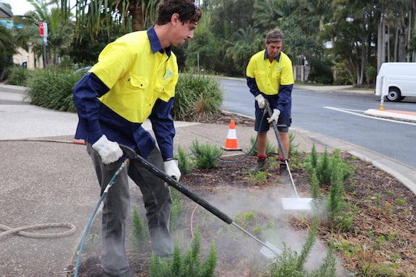 Council workers using the steam machine to weed a garden bed. (supplied)