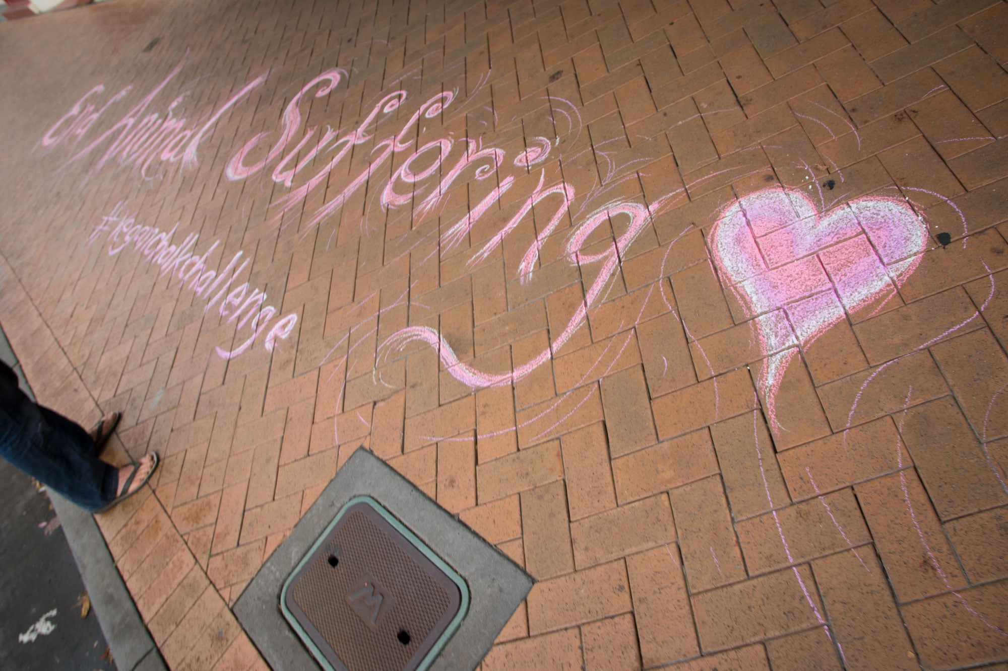 Vegans 'bomb' Lismore in Chalk Challenge The Echo