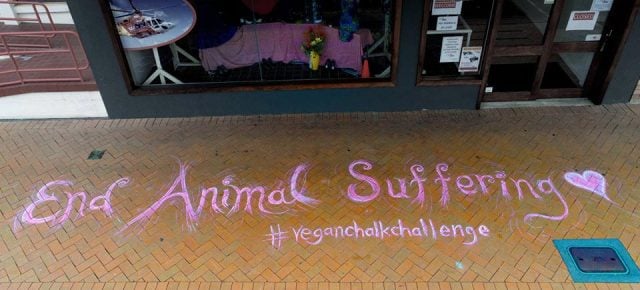 Vegan-Chalk-Duncan-