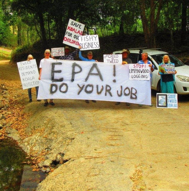 Protesters adjacent to the Limpinwood site. Logging trucks have to negotiate this sharp bend on Boorman’s Road. Photo Northern Rivers Guardians