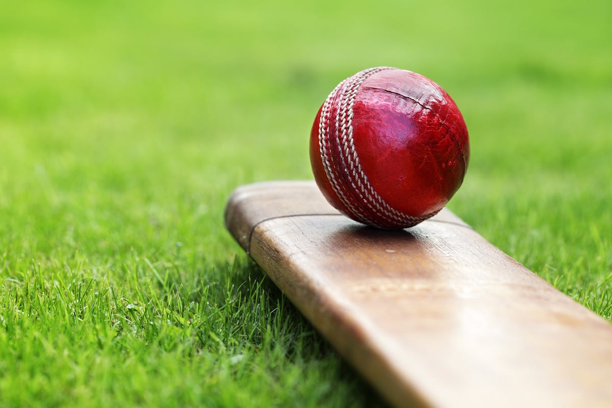 Senior cricket semi-finals this weekend