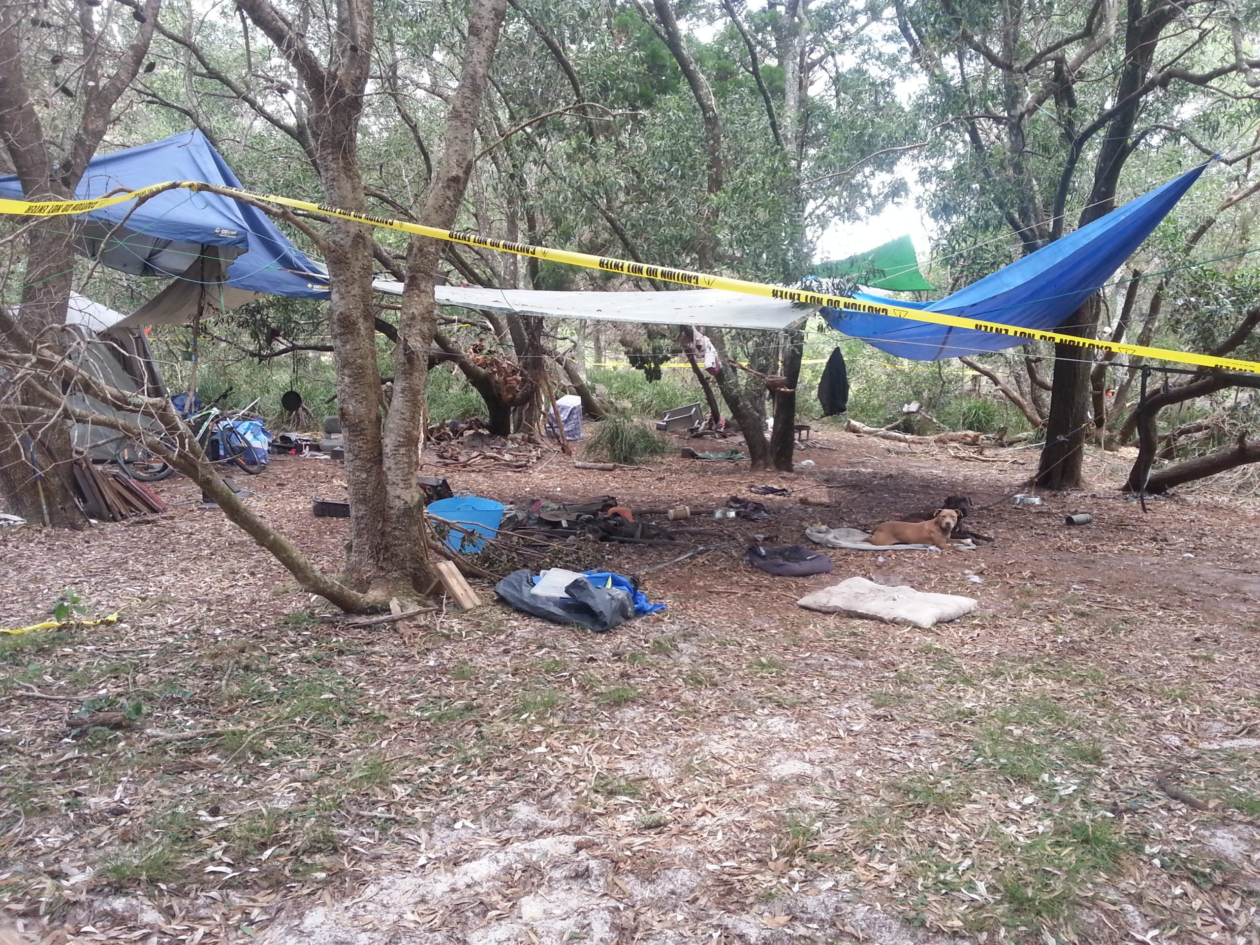 Illegal camping in Brunswick The Echo