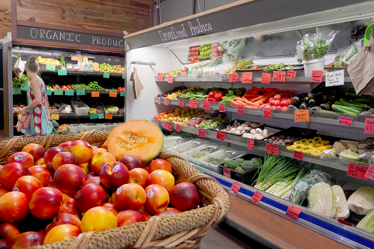 EdensLandingDSC01577 The Echo