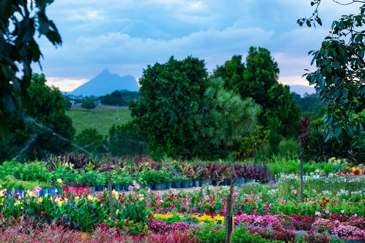 KingscliffNursery The Echo