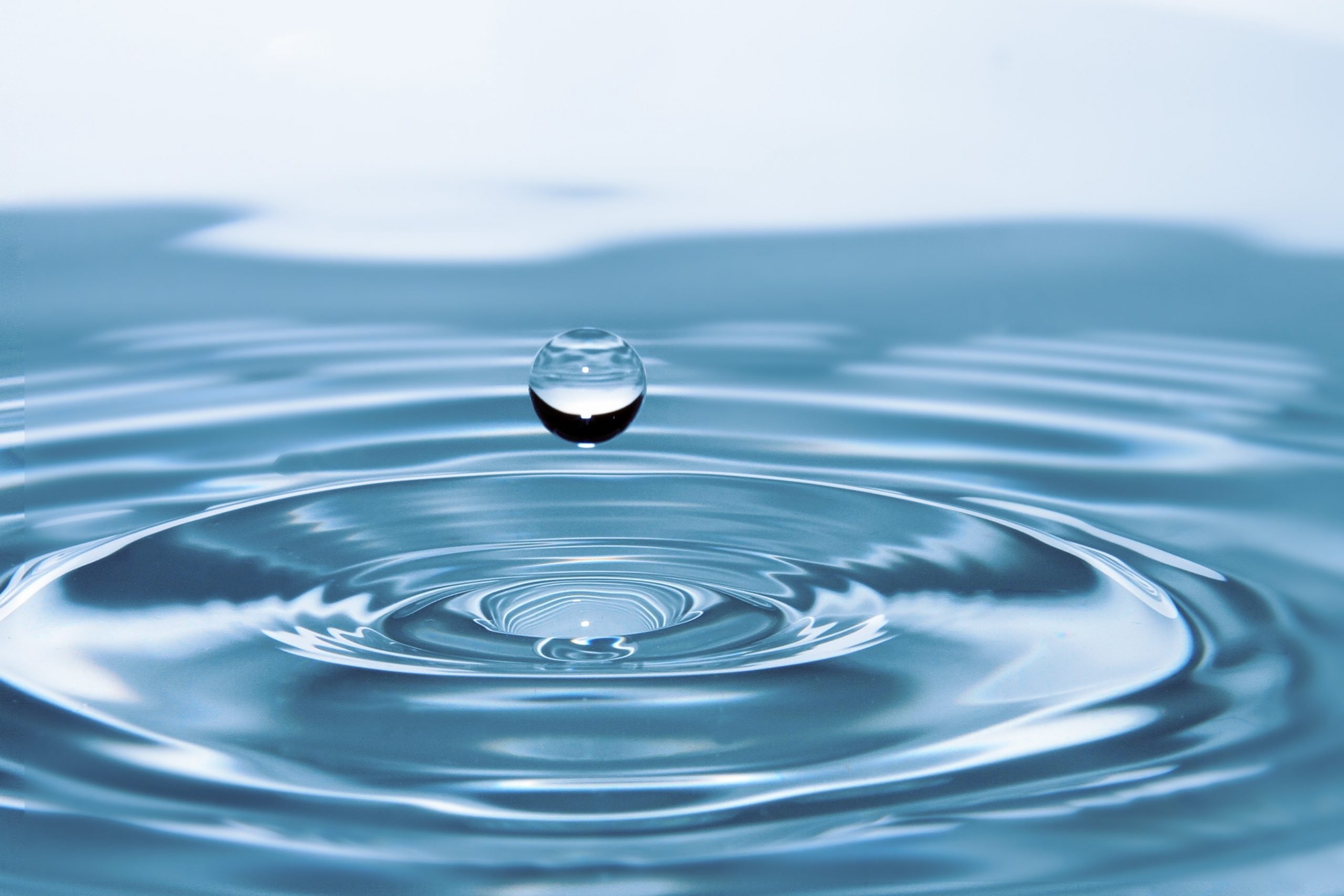 What are you doing on Water Night? – The Echo