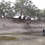 Murray-Darling-basin-drought-2016