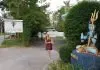 Cult Trip begins in Byron Bay