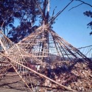 18. 1973 Nimbin Aquarius Festival experimental bamboo dwelling – adjusted
