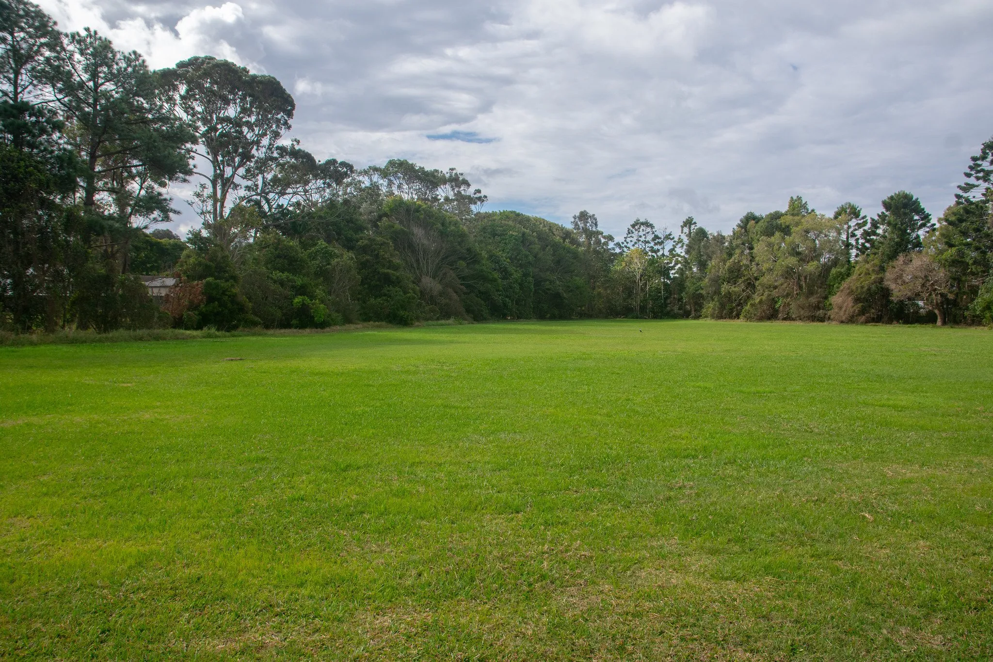 Better park and maybe a community garden for Wardell? The Echo