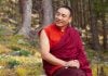 The Light of Loving Kindness