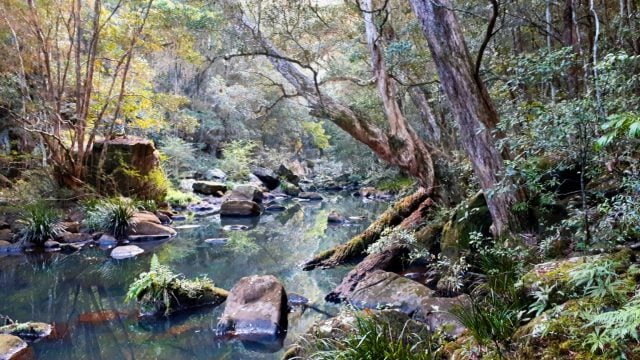 Channon Gorge