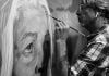 Local artist wins Archibald’s People’s Choice