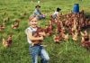 Northern Rivers Food winds up