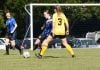 Bluedogs on winning streak