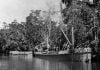Tassie III – A tale of three ships