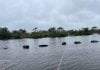 Flood-prone Belongil site seeking more houses