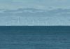 Mandy Nolan’s Soapbox: Windfarms Beneath My Wings
