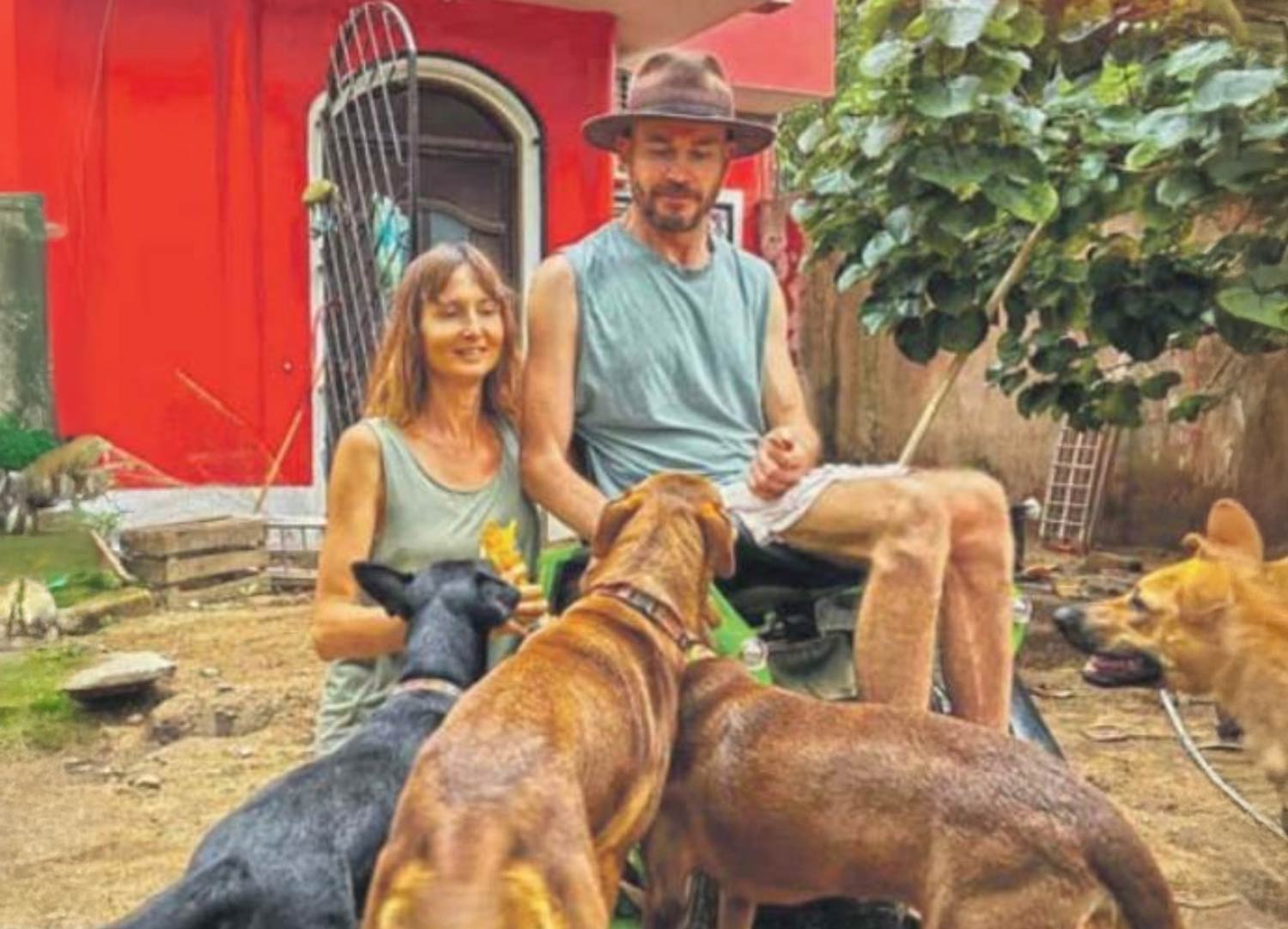 Help Mexican Mutts to make a difference