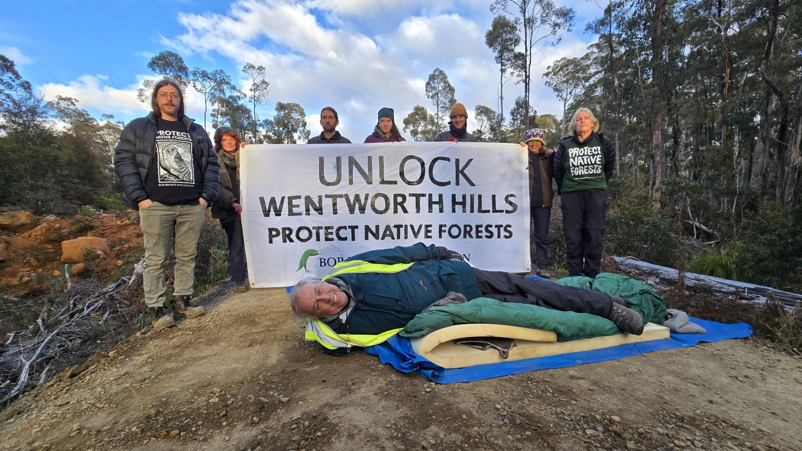 Forests on national agenda as government wants to lock in more logging