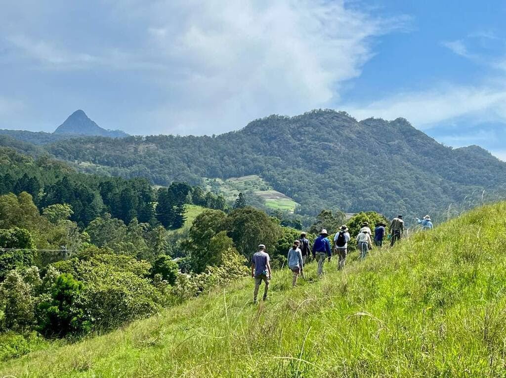 Tweed Regenerative Agriculture Information Network launched