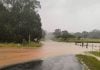 Riparian restoration works sees improvements over four catchments