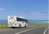 Free public transport needed