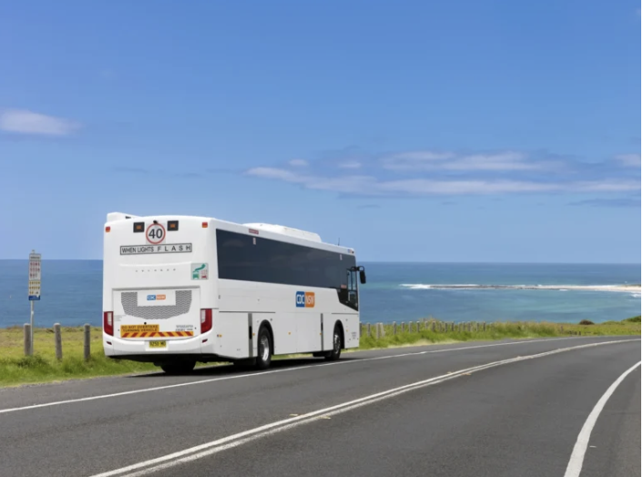 Free public transport needed