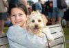 Pups, people and police had a Dogly good time at Love Lennox