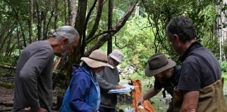 Wanted: citizen scientists to check on our creeks