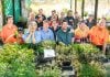 Eleven winners at Byron Bay Herb Nursery