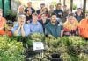 12 winners at Byron Bay Herb Nursery