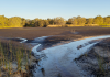 Evans Head STP: kicking the environmental can down the road